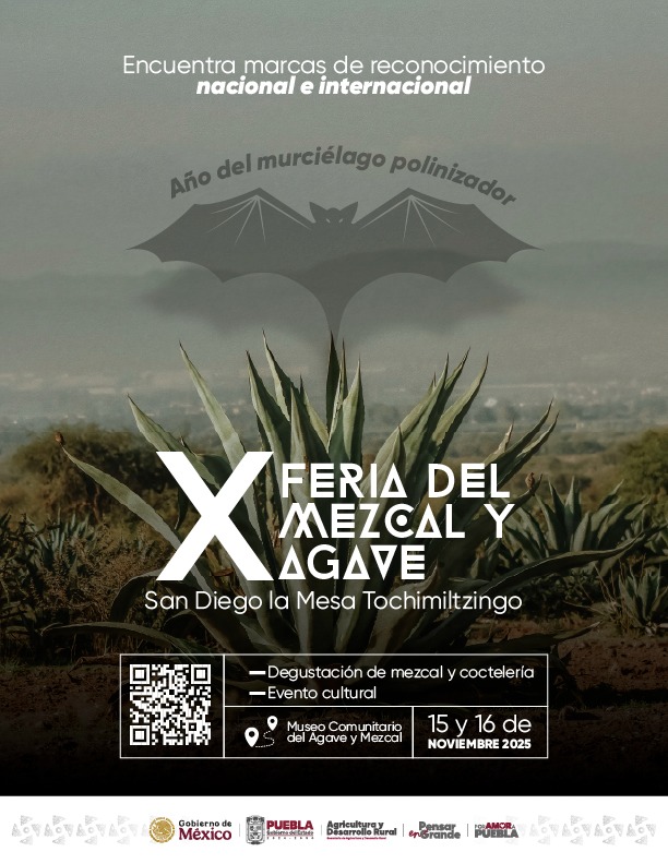 San Diego la Mesa Tochimiltzingo te invita a vivir la X Feria del Mezcal y Agave, una celebración que honra la tierra, el trabajo campesino y la identidad poblana. 🌿✨

El 15 y 16 de noviembre, en el Museo Comunitario del Agave y Mezcal.