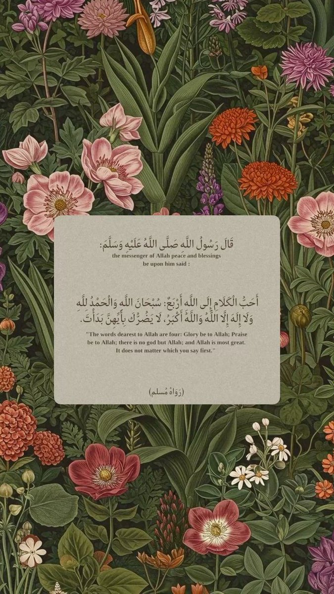 IBestIB's tweet image. 