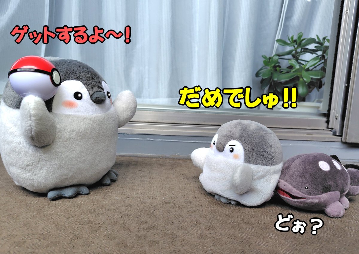 WxAxcs's tweet image. テテテーテテテーテテテーテテテー
テ↗テ↘テ↗テ↘  ♫
#コウペンちゃん  #くったりすと  #ポケモン