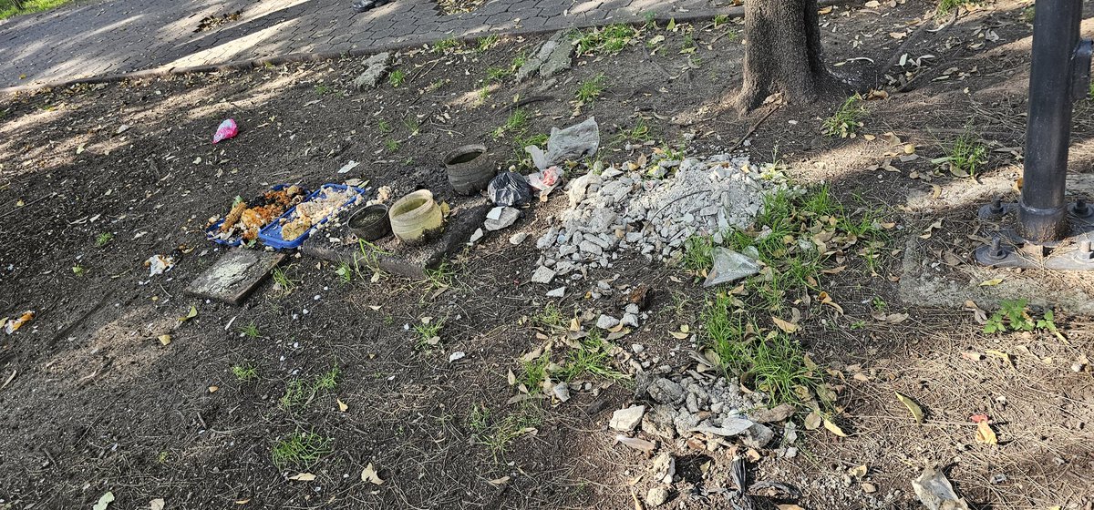 SamNuez35864670's tweet photo. Urge personal de limpieza en calles de #Iztacalco en la #tlacotal #plutarco  lleva semanas esta basura en todo el parque @Dele_Iztacalco @IztacalcoAl https://t.co/im9HrlPWVm