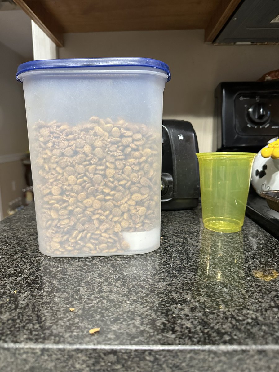 staceystring's tweet image. I refilled Nahla’s food container.  Yes, that would be her food scooper on the bottom 😳😳😳🙄🙄🙄.  Oops !