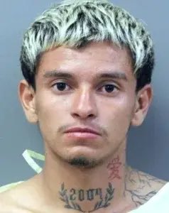 Breanna Morello tweet media