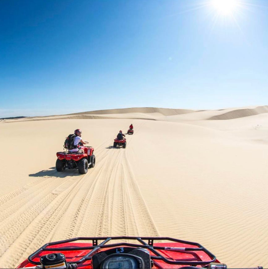 Trade the treetops for the dunes 🏜️✨

A stay at Port Stephens Koala Sanctuary puts you minutes from Stockton Sand Dunes, where you can take on the desert-like landscape with @sandduneadventures

📷: @paulyvella

Wildlife one day, adrenaline the next! bit.ly/3ItgrE6