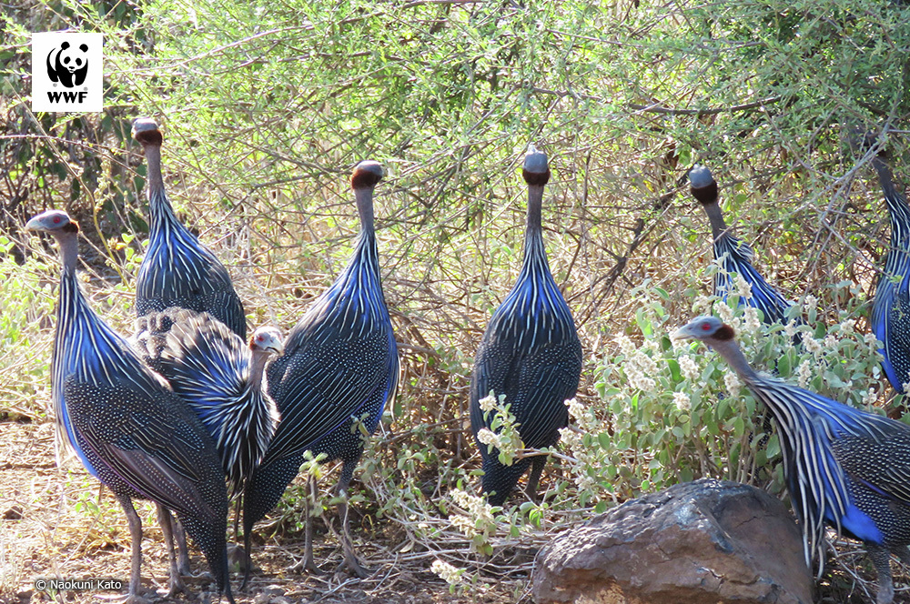 PANDA LOVE♥️ (@PANDALOVE0612) / Posts / X