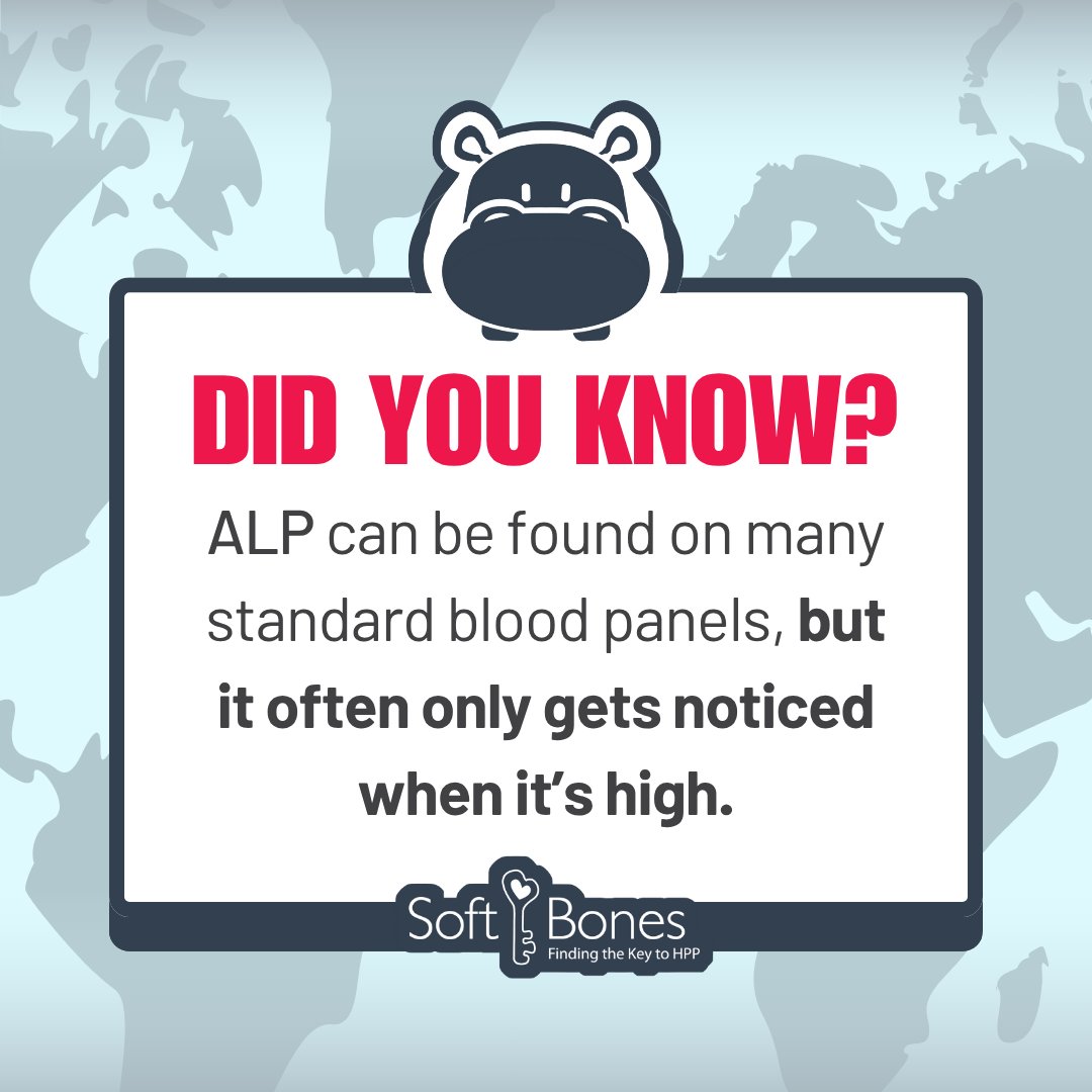 HPP is still grossly underdiagnosed and overlooked. While alkaline phosphatase (ALP) testing is available in simple blood panels, low levels of ALP aren’t deemed problematic. Check your ALP levels.

Learn more below. 
softbones.org/world-hpp-day-…

#SoftBonesHPP #WorldHPPDay