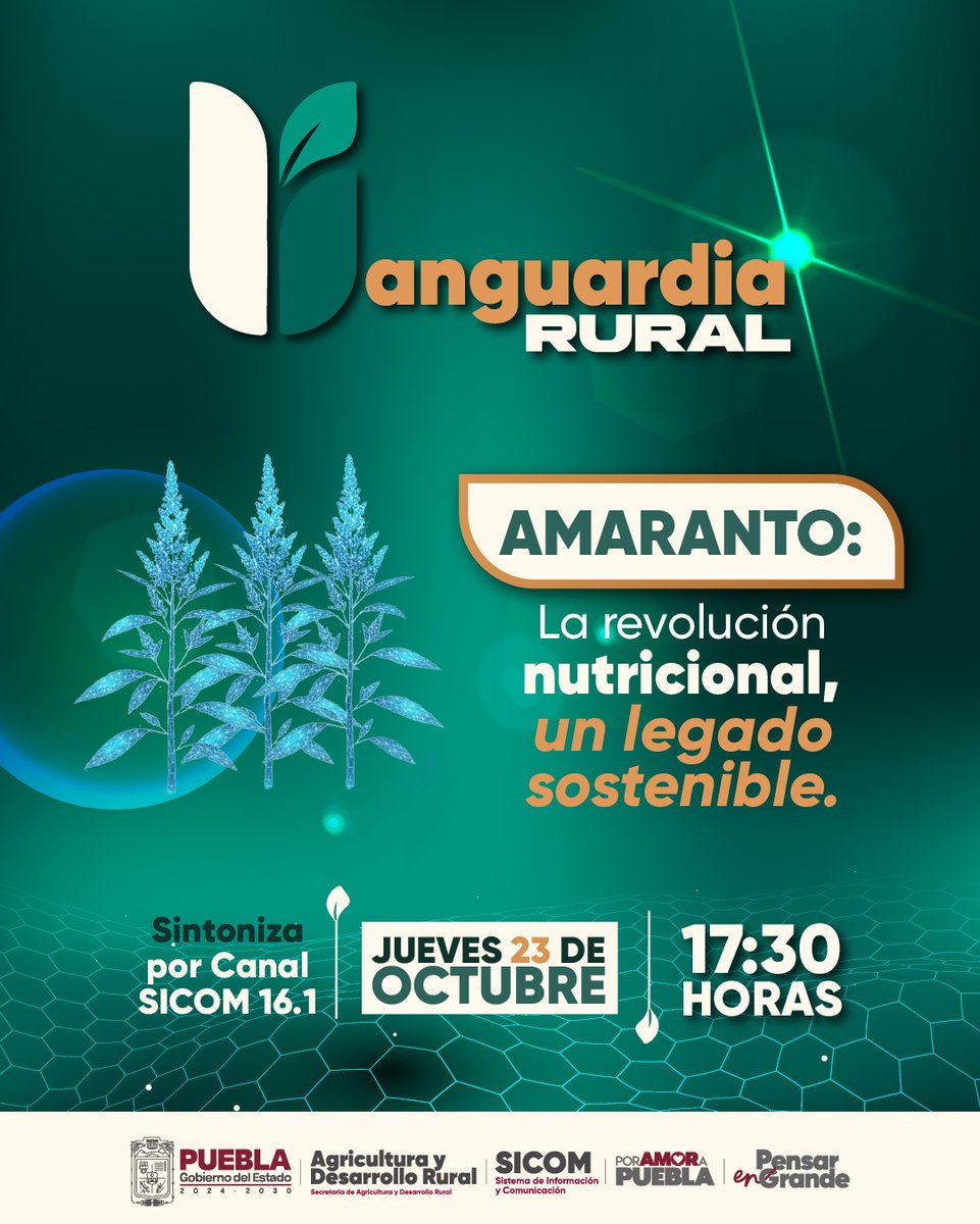 ¡No te pierdas hoy, en punto de las 17:30 hrs #VanguardiaRural! 

Canal 16.1 de SICOM

¡Te esperamos! 

#PorAmorAPuebla #PensarEnGrande