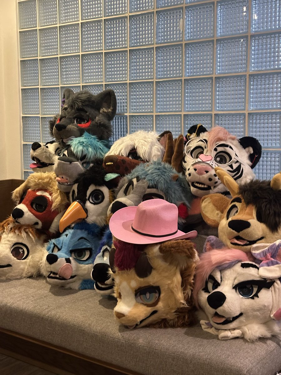 Fotito de la pedita de ayer :3 🍻