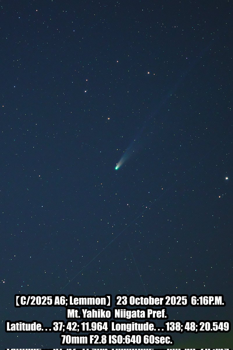 BoomRandomizer's tweet image. やっとこさまともに晴れたので
最初で最後のレモン彗星と
スワン彗星の撮影に出れました✨
#写真好きな人と繋がりたい 
#ファインダー越しの私の世界ᅠ 
#photography