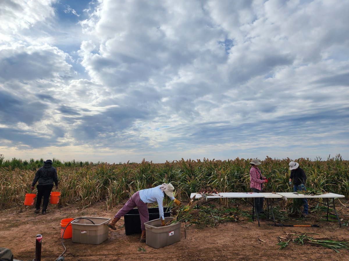 Saini DK tweet media