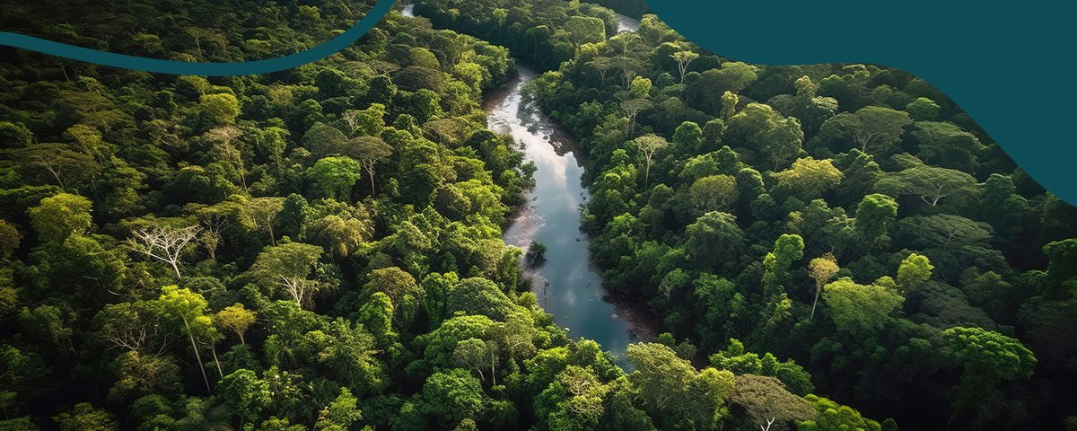 rev_sambiental's tweet image. Pacto pelo Código Florestal debate agenda e diretrizes para cada setor | Saneamento Ambiental
#eventos #codigoflorestal #meioambiente 
saneamentoambiental.com.br/noticias/pacto…