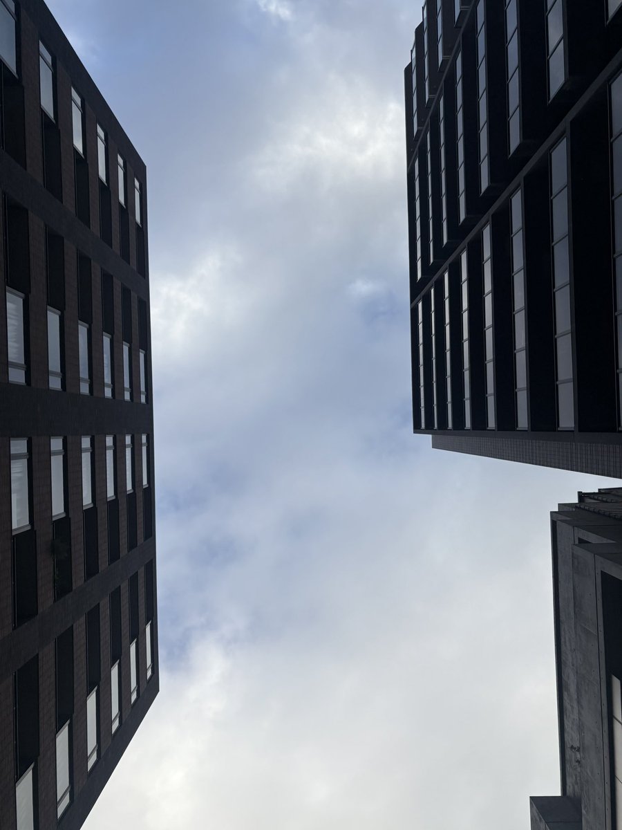 umu_designInc's tweet image. 早朝🚗
結構着込んでるけど、冷えるぞ今朝は。
メガカフェラテも濃いめで☕️

華金の本日、頑張りましょう。

#umudesignInc.
#丗SOU 
#世SOU