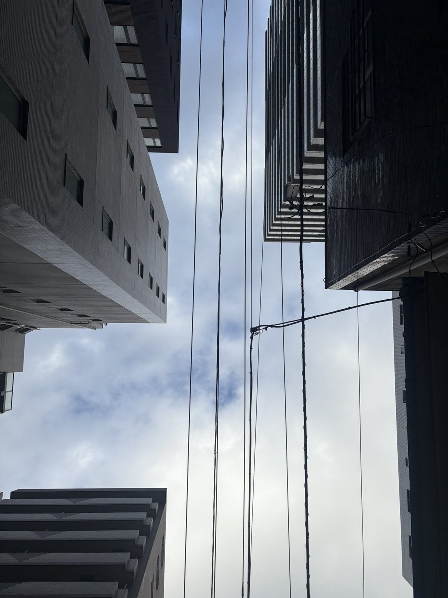 umu_designInc's tweet image. 早朝🚗
結構着込んでるけど、冷えるぞ今朝は。
メガカフェラテも濃いめで☕️

華金の本日、頑張りましょう。

#umudesignInc.
#丗SOU 
#世SOU