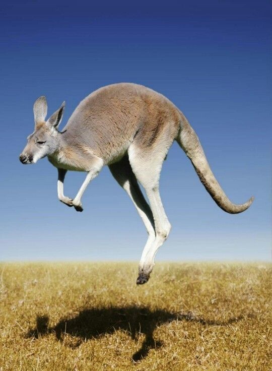 epikurcu34's tweet image. #fooledbyrandomness