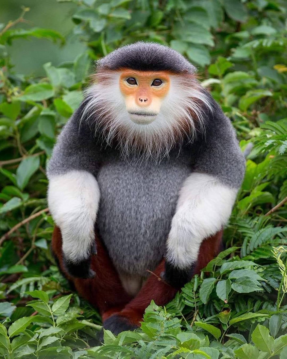 epikurcu34's tweet image. #fooledbyrandomness