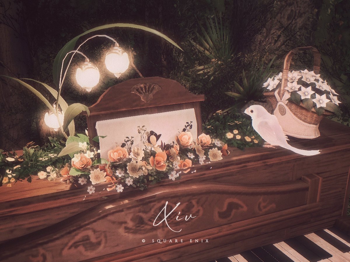 🕊️ #文鳥の日