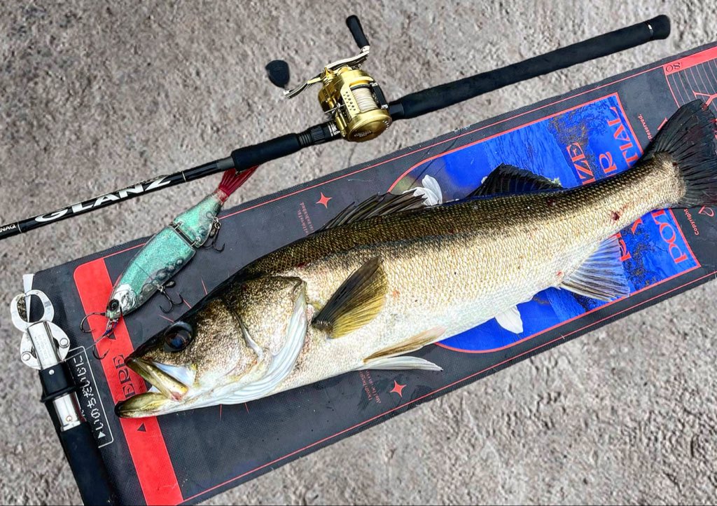 Fish and Lips タオル 1stDEMOCD Fish and Lips タオル 1stDEMOCD Fish