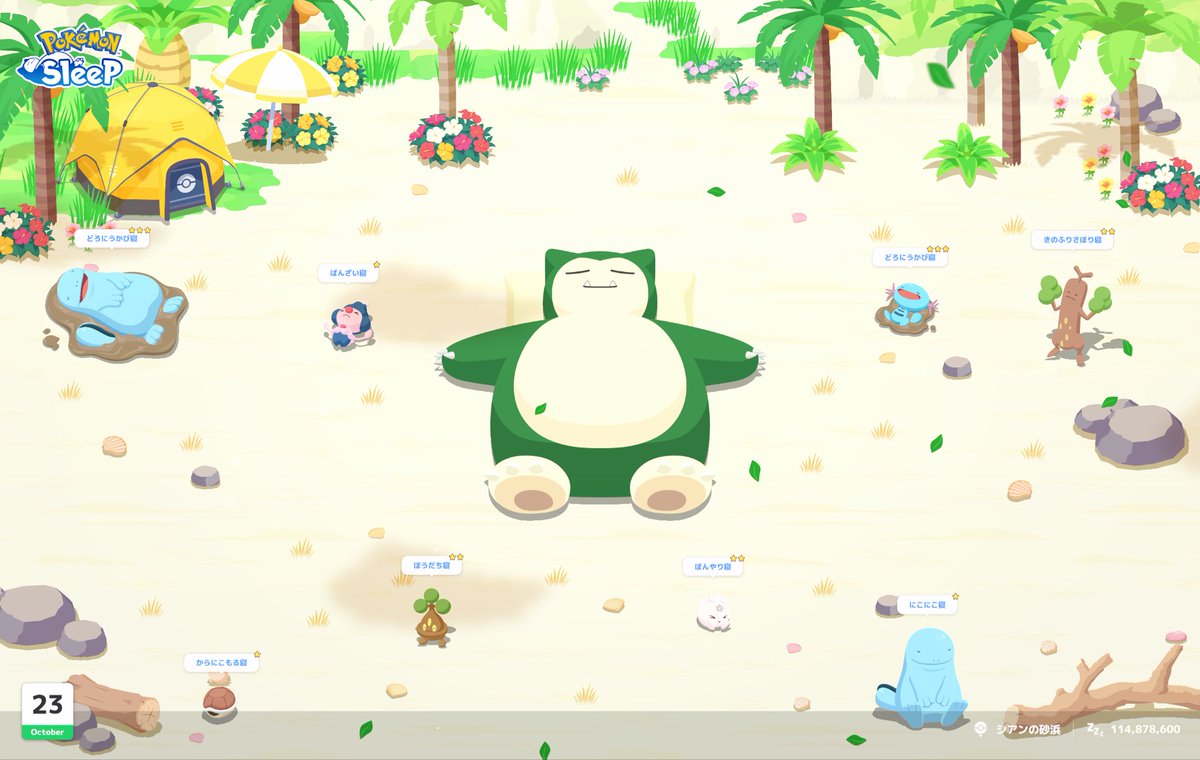 きなこ🍵 tweet media