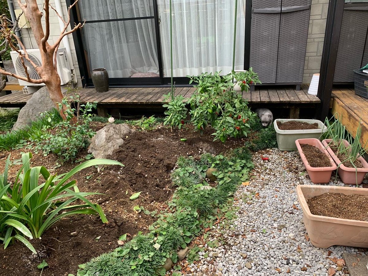 直人（なおと） (@NAOTO_LEAD125) / Posts / X