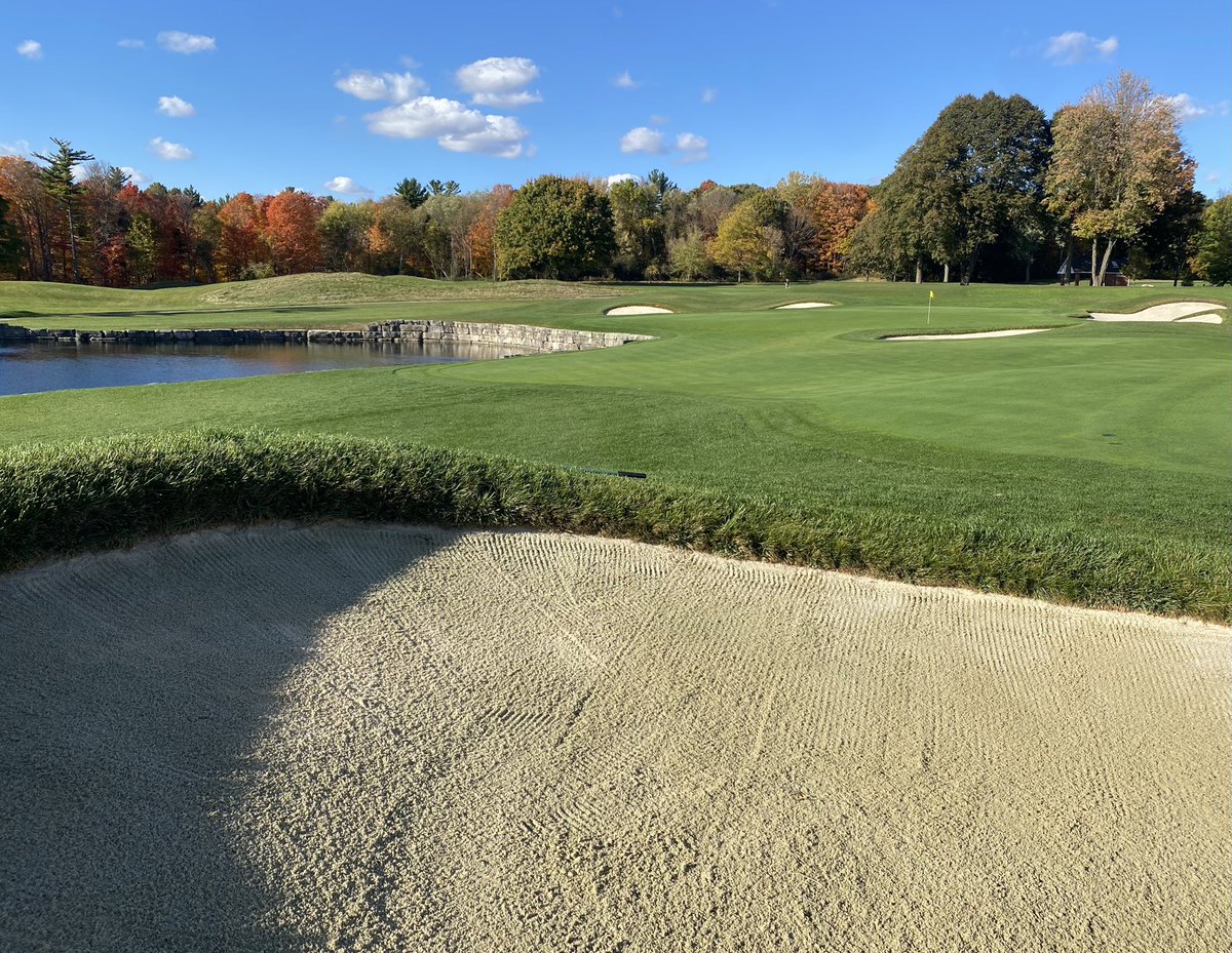 Ask A.I. how many leaves are on a mature Maple Tree?  Add the sumara (winged seeds) and it’s a between 100,000 - 200,000.  The real cost of trees and bunkers…there is a lifecycle and maintenance cost for the relationship 💭🤔💰⏰