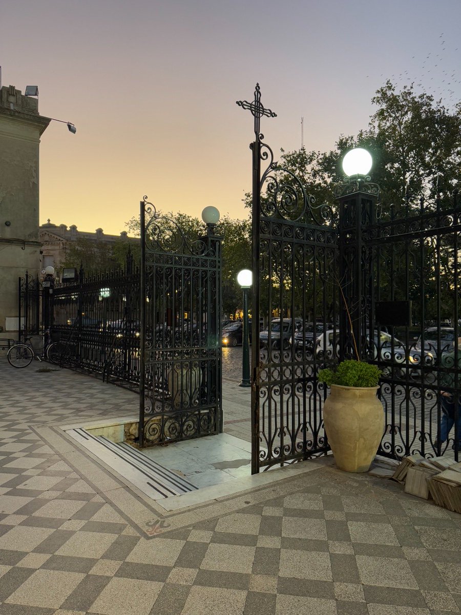 Dani Regeiro tweet media