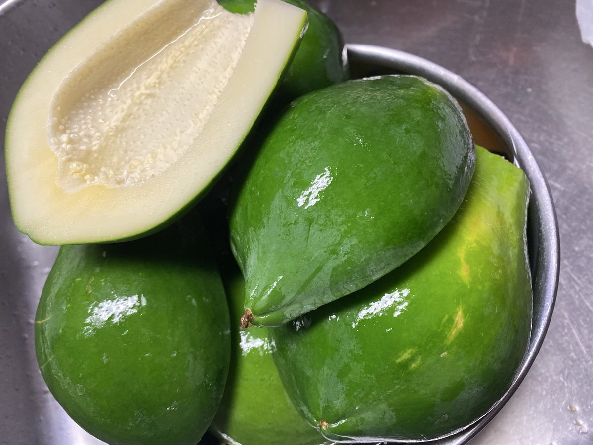 ボブ(⑅•ᴗ•⑅)◜..°♡ (@2zetn98) / Posts / X