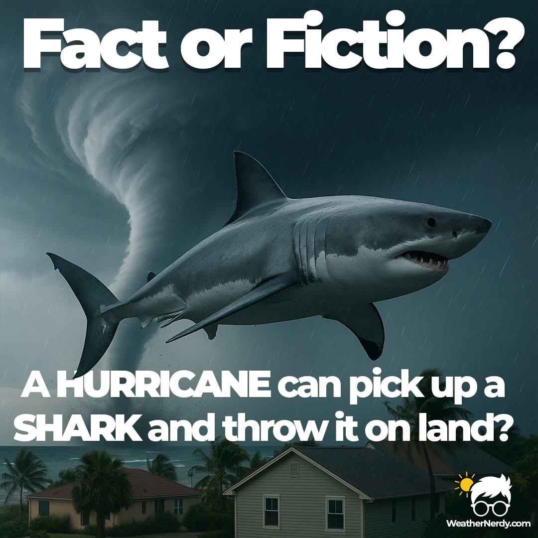 🌀 FACT OR FICTION?

“Can a hurricane really pick up a shark and throw it on land?” 🦈
It sounds like something straight out of a movie… but what’s the real science behind this wild weather myth?

Find out: 🦈 Dive into the real answer here 👉 weathernerdy.com/post/can-a-hur…