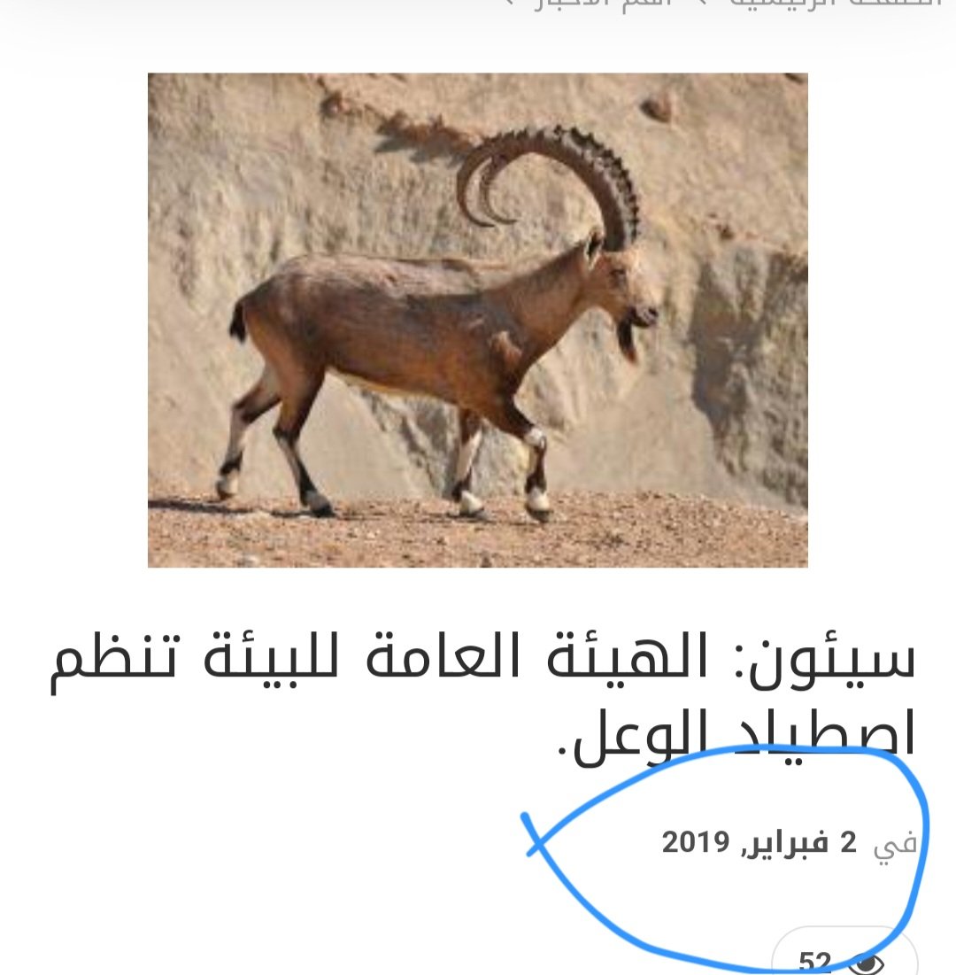 <a href="/IsraelArabic/">إسرائيل بالعربية</a> من ٢٠١٩ وهمه بنقذوا فيه ههههههه