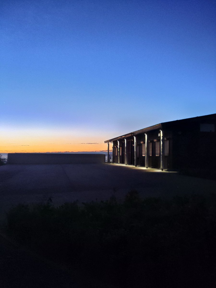 グンマーの馬🐴 on X