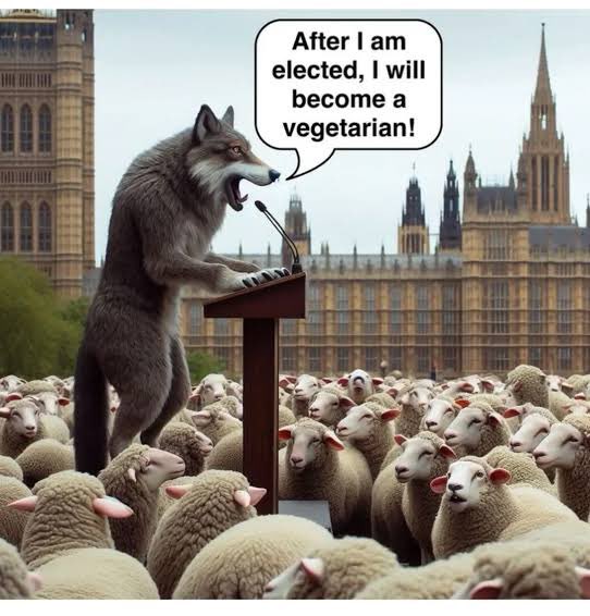 <a href="/wideawake_media/">Wide Awake Media</a>