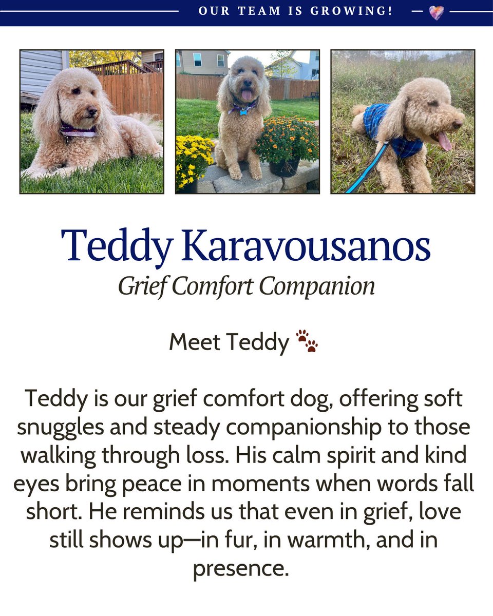 HeartLightCente's tweet image. Our team is growing! We are honored to introduce Kelly and Teddy, we are lucky to have them. If you are interested in connecting with Kelly or learning more about Teddy, feel free to reach out to us!
.
#HeartLight #Community #Team #GriefSupport