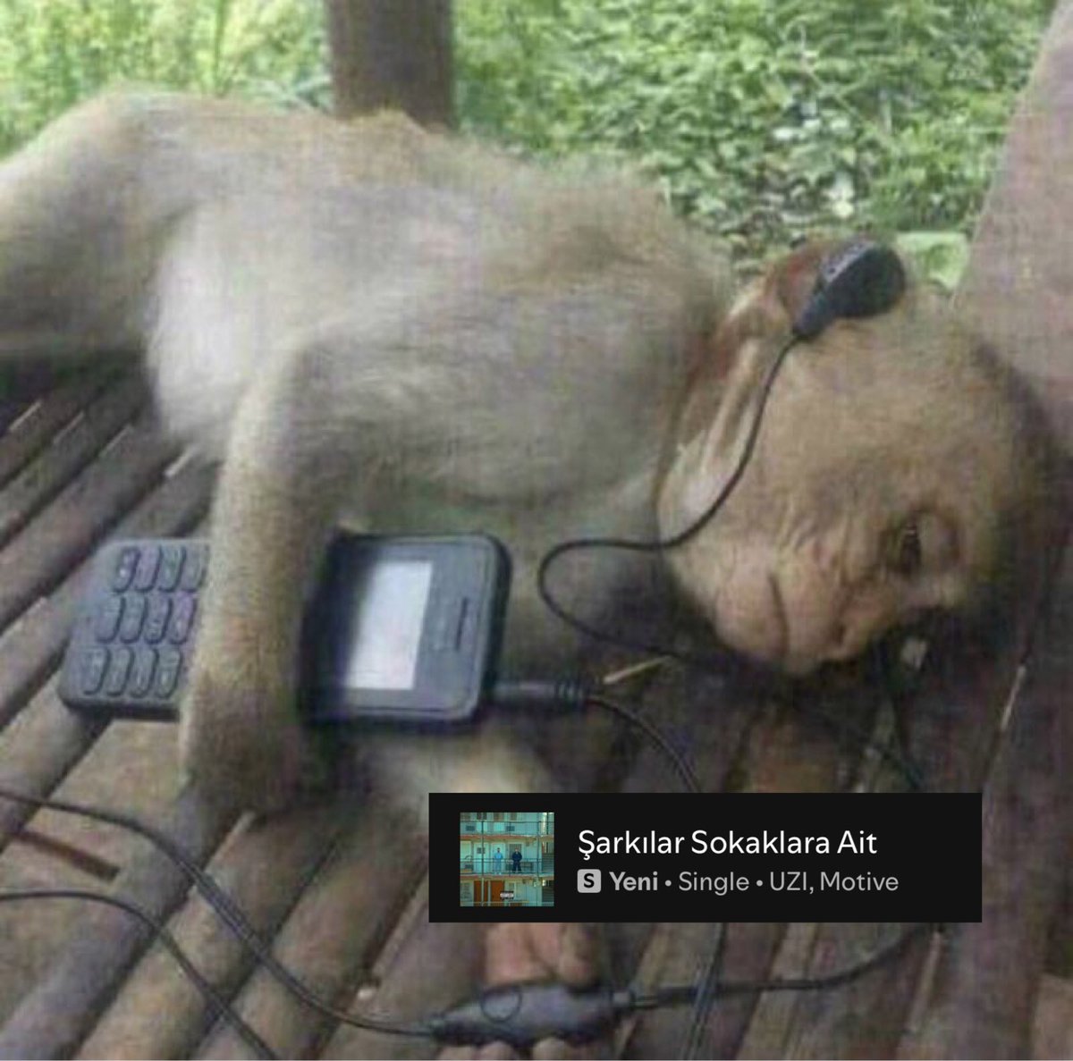 bu gece bizdir… iyi geceler.