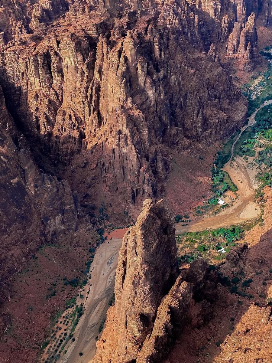 محمية الأمير محمد بن سلمان في تبوك 🤍🇸🇦