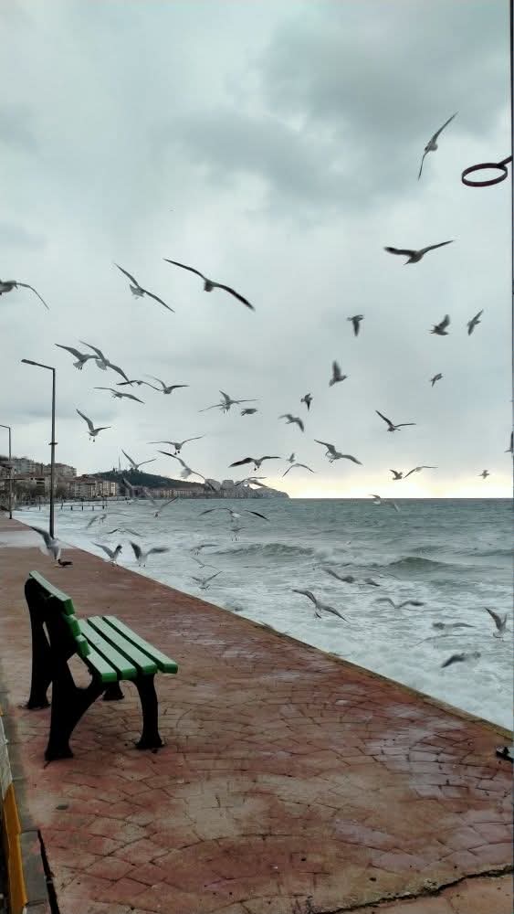 msbalioglu's tweet image. 23.10.25