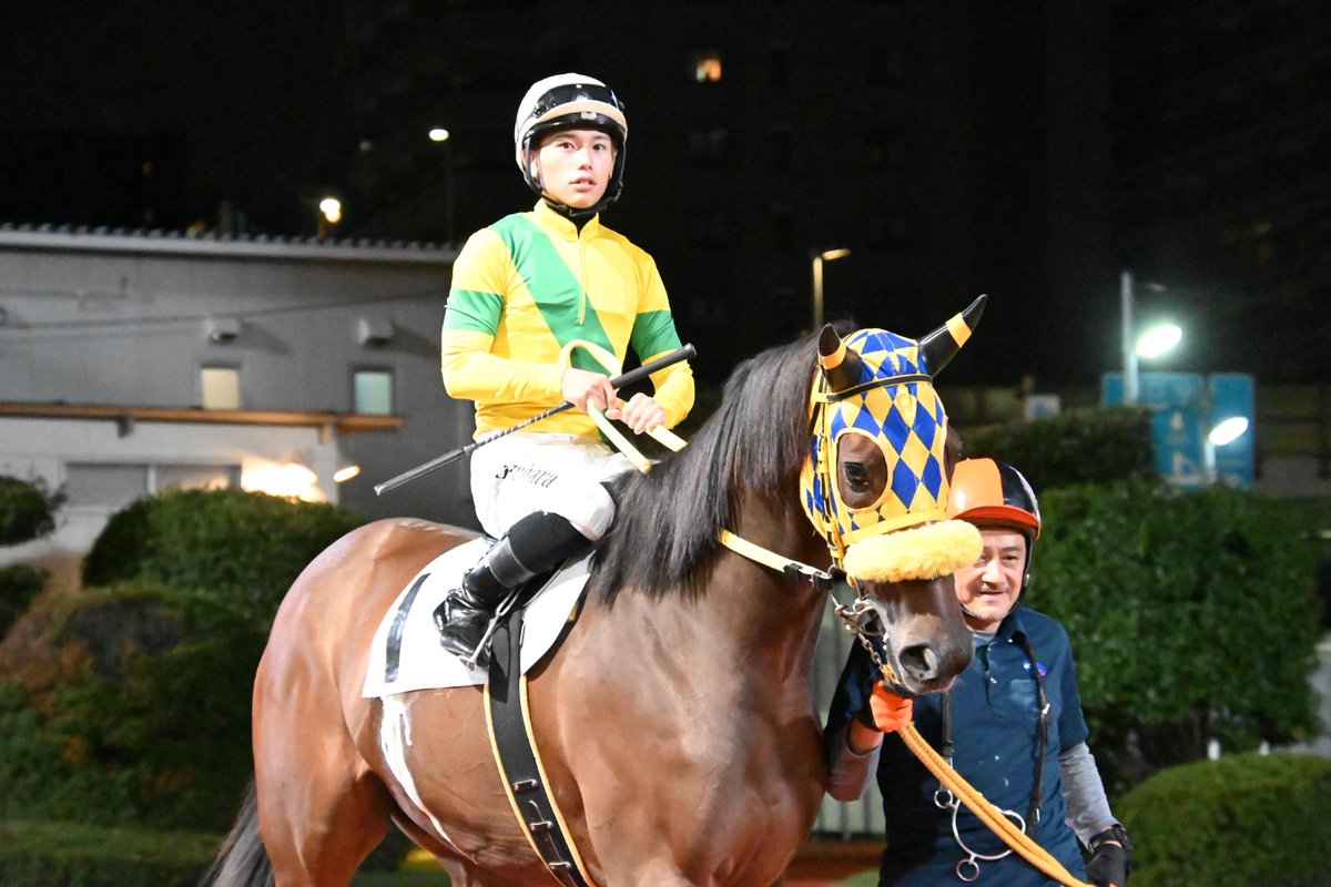 馬のいる景色 なかちぃ on X