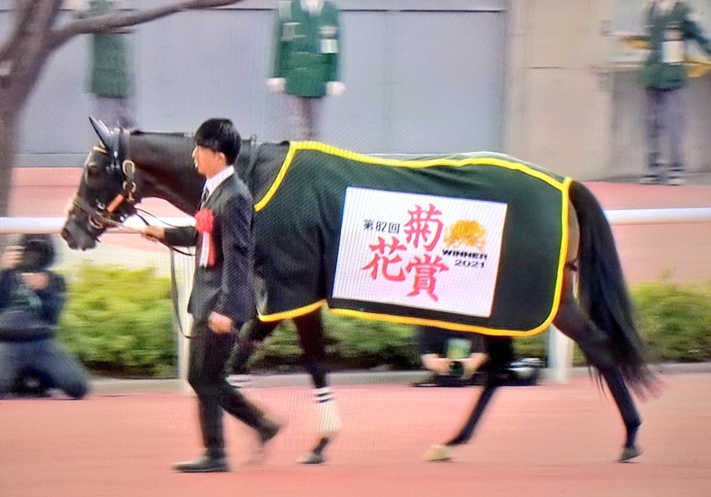 StayDream21's tweet image. タイトルホルダー(父ドゥラメンテ)GI初制覇は42年ぶり阪神競馬場の菊花賞(2021年10月24日)あれから4年が経ちました。横山武史騎手は父の典弘騎手がセイウンスカイ(98年)で決めた逃げ切り勝ち(23年ぶり)で父子制覇。2021年夏に急死した父ドゥラメンテに捧げる勝利でした。#タイトルホルダー #菊花賞