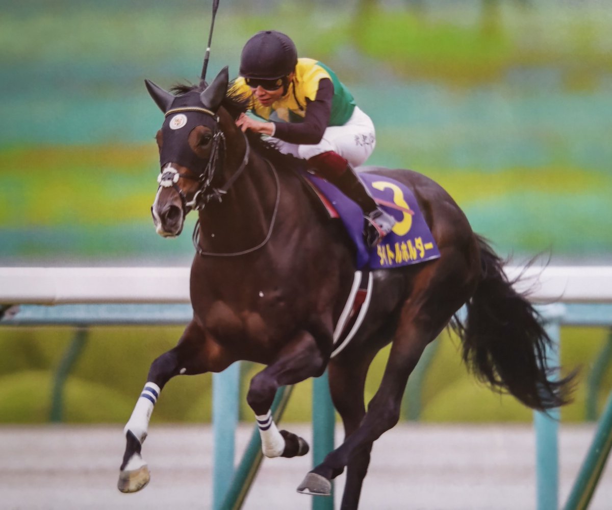 StayDream21's tweet image. タイトルホルダー(父ドゥラメンテ)GI初制覇は42年ぶり阪神競馬場の菊花賞(2021年10月24日)あれから4年が経ちました。横山武史騎手は父の典弘騎手がセイウンスカイ(98年)で決めた逃げ切り勝ち(23年ぶり)で父子制覇。2021年夏に急死した父ドゥラメンテに捧げる勝利でした。#タイトルホルダー #菊花賞