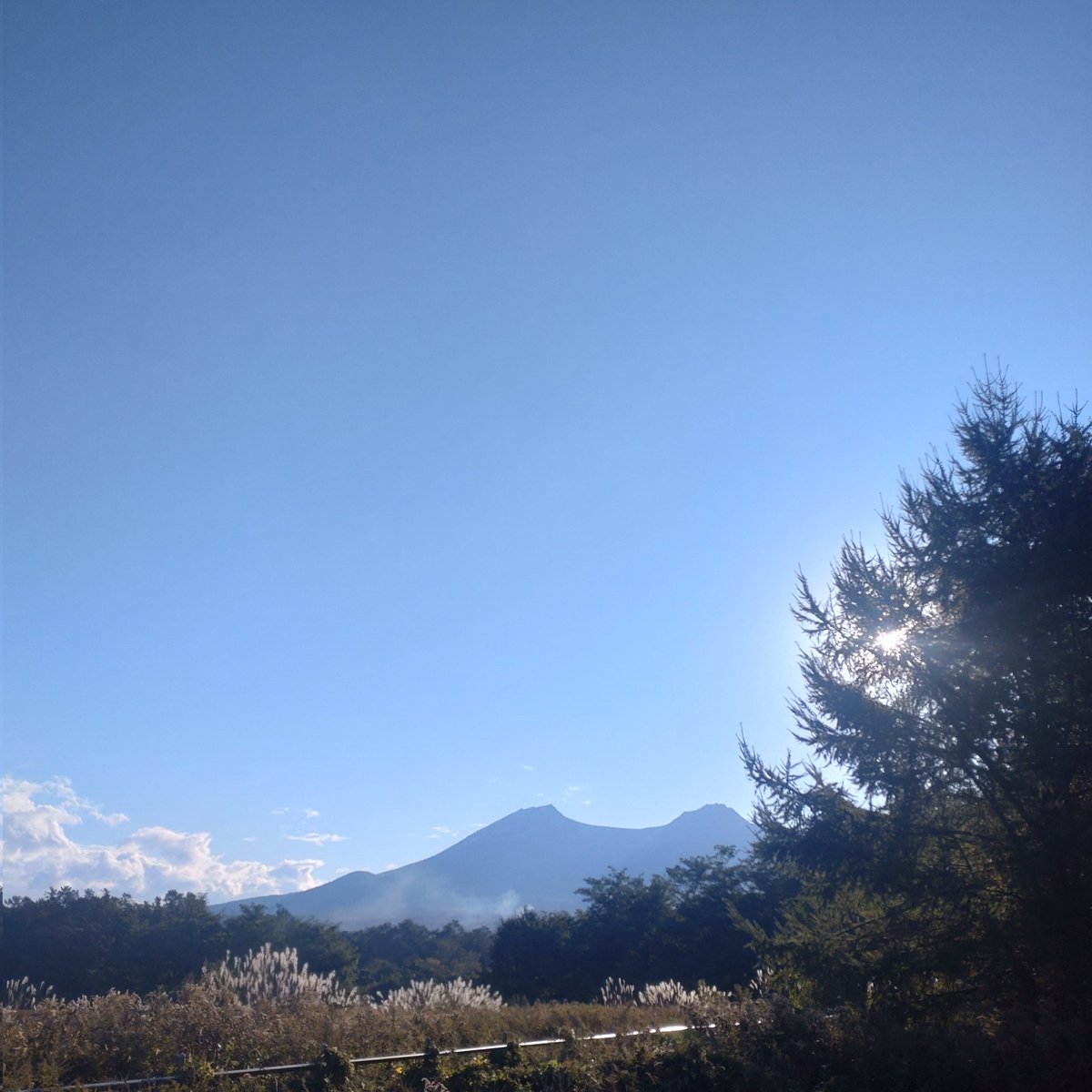 帽子屋◯一 on X