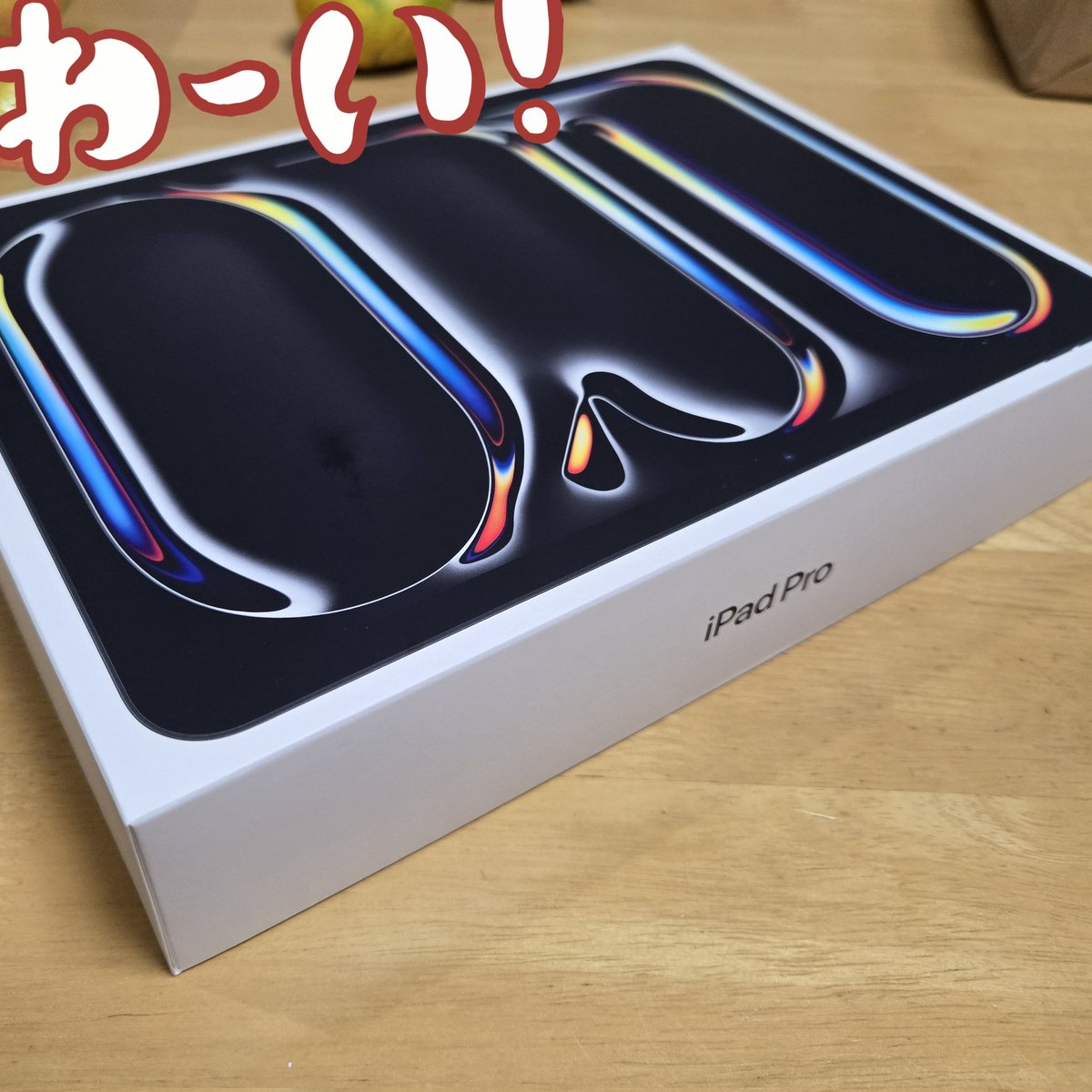 ipadデビューしました