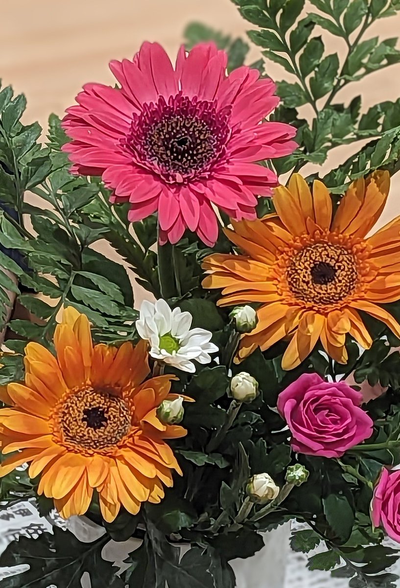 ⚫️⚪️🌸クロシロ🌸⚫️⚪️ on X