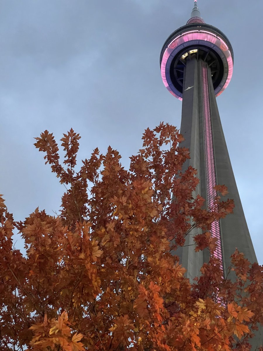 Kess2000's tweet image. Let’s GO @BlueJays ! #ALCS