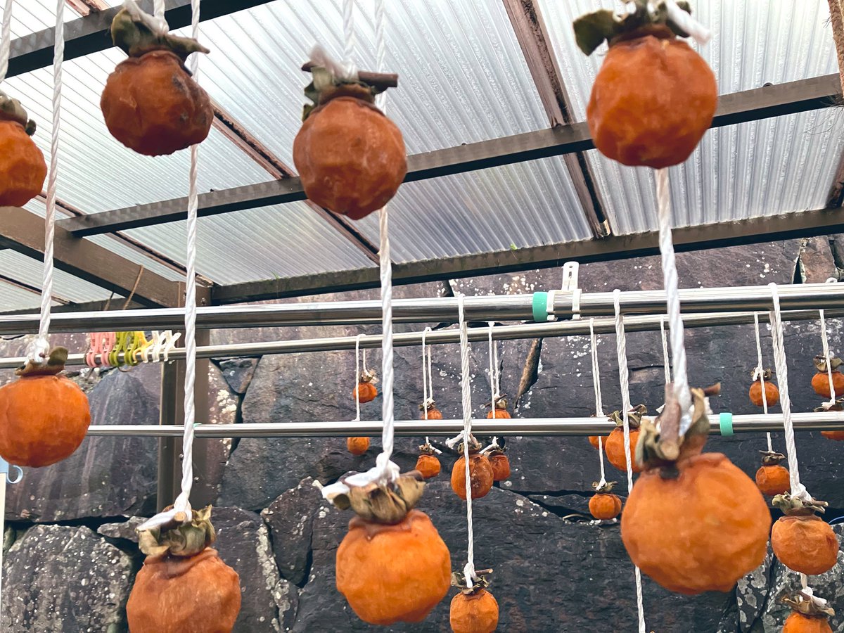 Mayuページ MAYU (@WKrPCHMxcU72P9I) / Posts / X