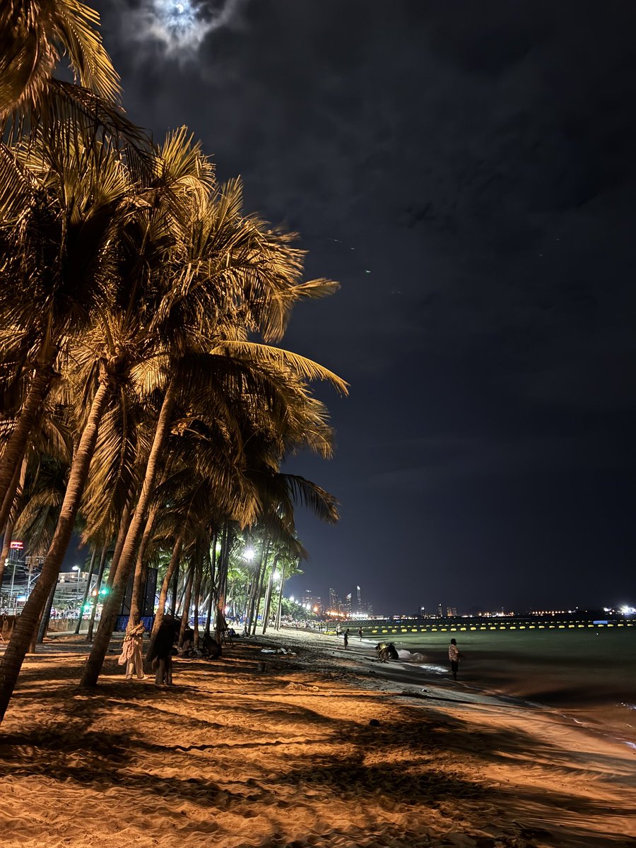 20251024  おはようございます

パタヤ地方🏖️
本日の気温 最高31℃ 最低24℃
只今の気温 24℃
しゃむいyo〜🎐

もうハナキンちゃん💐早ッ😱

今日は片道徒歩35分のスーパーに味噌だけを買いに行かないといけません😱めっちゃ悔しいので2つ買いだめして当分行かなくていいようにします😭
段取りﾜﾙ😱😱