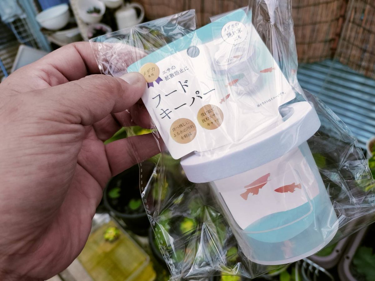 フードキーパーってあるじゃん？

今まで使った事なかったし、使う必要もないかな？って環境なわけだけども。

残り餌は貝なりエビなりの餌になってるし。

ただちょっと試したい事があって、今回は実験的に入れてみるんだけどね。

#おはようございます