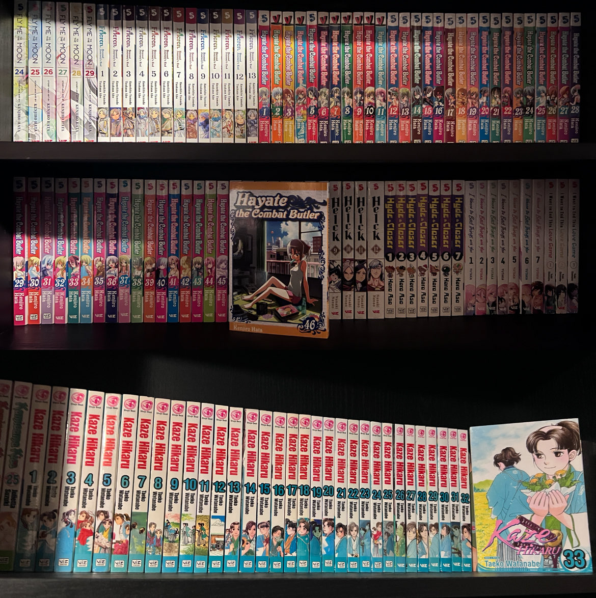 Omnibus Collector tweet media