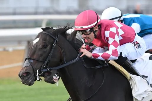 Ready To Jam gets her Stakes win in the Autumn Day <a href="/WoodbineTB/">Woodbine Racetrack</a> !!! CONGRATULATIONS <a href="/DJ_Stable/">DJ Stable</a> <a href="/JonGreen2022/">Jonathan Green</a>  <a href="/markecasse/">Mark Casse</a> and all involved.  Love this Filly, she is being offered <a href="/keenelandsales/">Keeneland Sales</a> November Hip#551 😍🥰 Photo credit to Christian <a href="/c__abdo/">Christian</a>