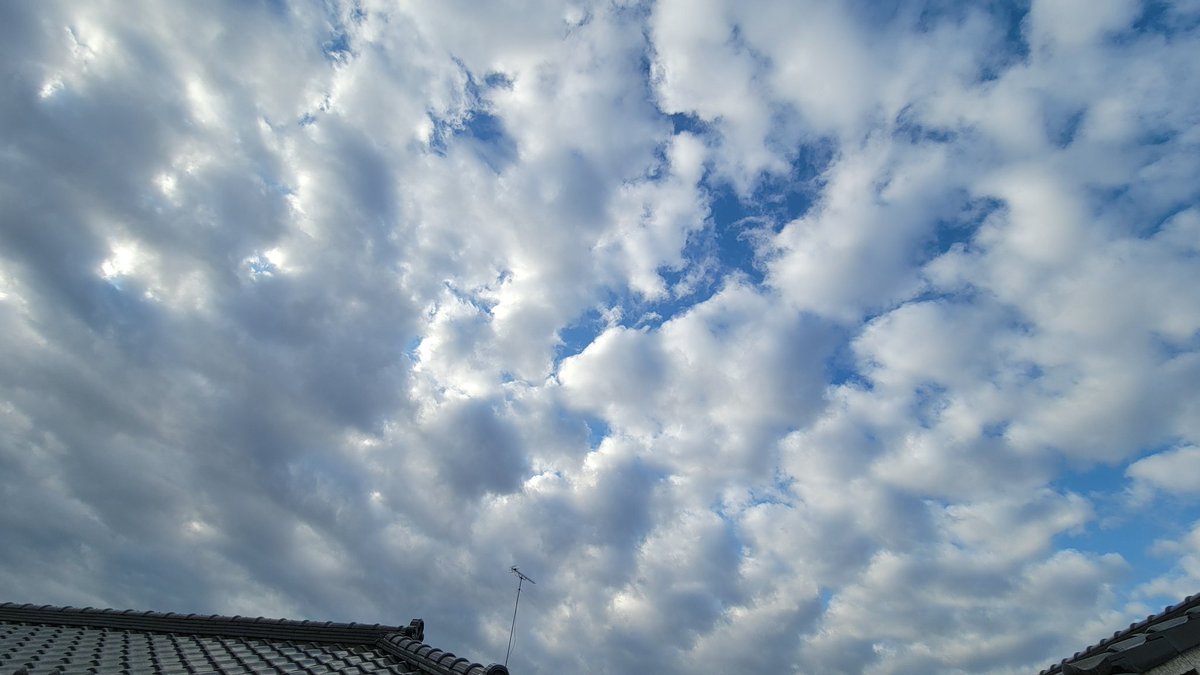 めるめるめー (@melmelmelme3) / Posts / X