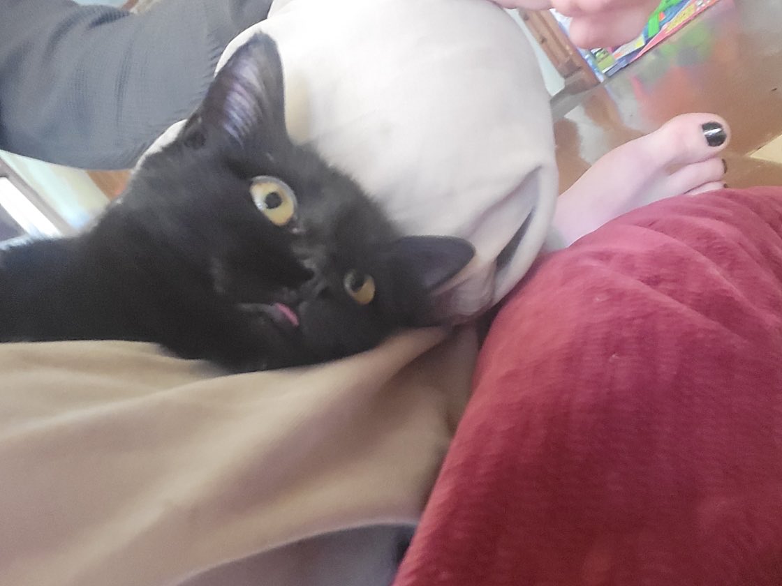 xx- Fleeton Whittaker 🌼💚 tweet media