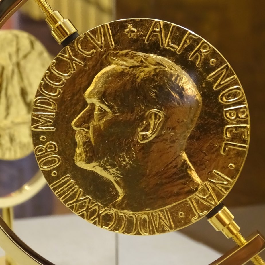 🚨 Ao que tudo indica Vera Saramago (Secret Story 9) estará indicada para o Nobel da Paz e para o Nobel da Literatura, após recentes intervenções no programa #sstvi