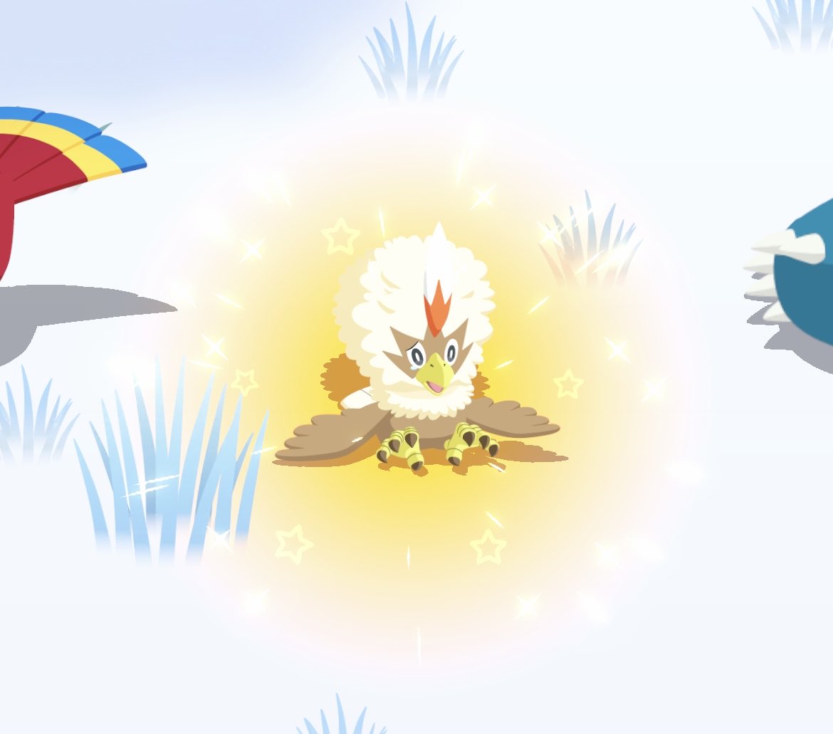 mimimimi様☺︎ MINISUKIENKA Z PODUSZKAMI NA RAMIONACH - Czarny | ZARA