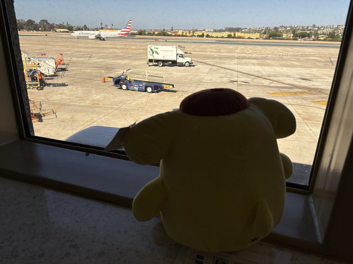 He’s ready for his flight back home!